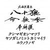 [TFWS] の【九嶋祇園祭八十狼命狼参奉納儀】